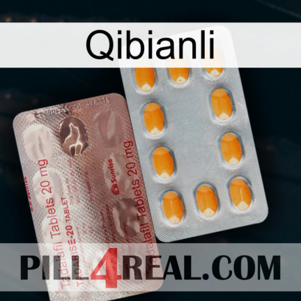 Qibianli new13